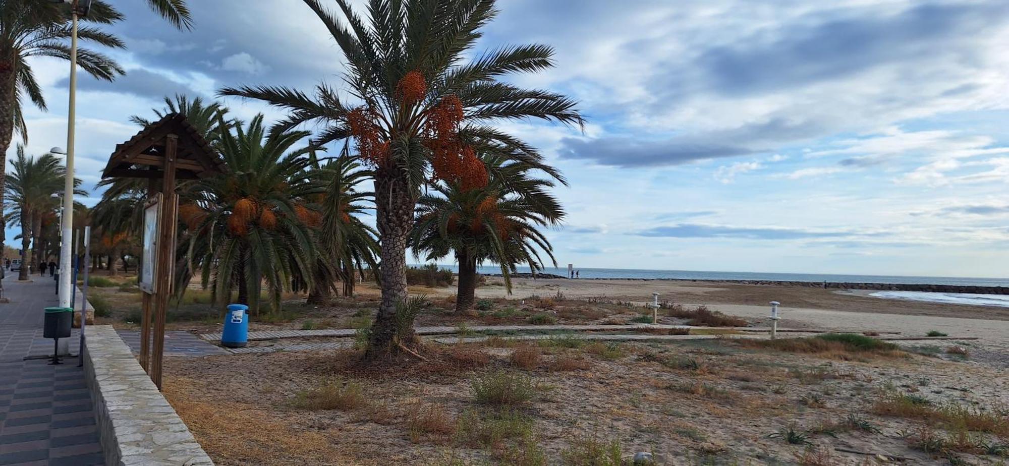 Vacaciones En El Mar Apartamento Sagunto Exterior foto